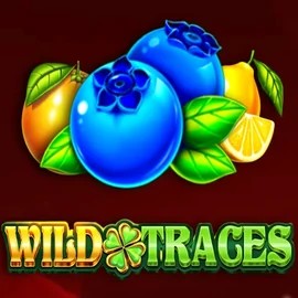Play Wild Traces slot by Amusnet Interactive on draculacasinoo.com